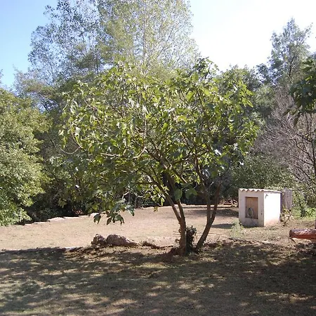 Apartament Can Roura